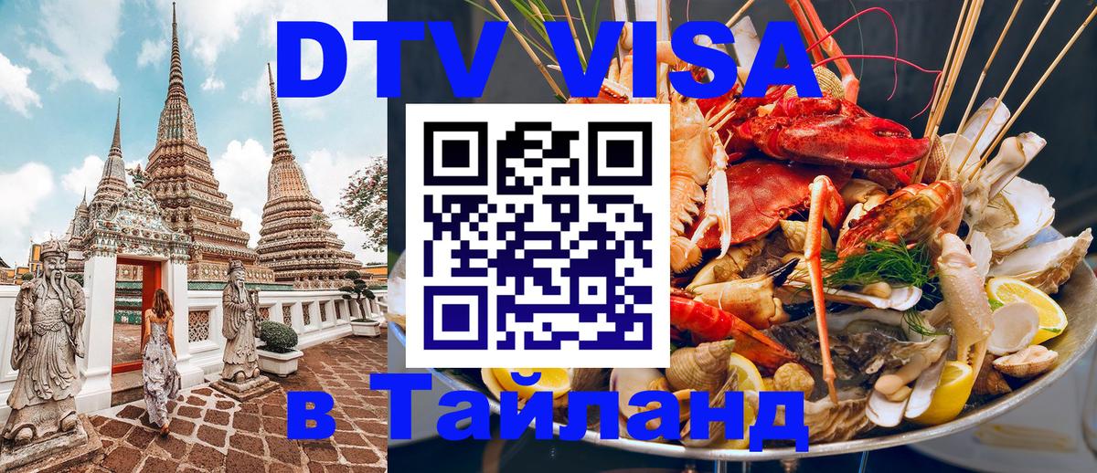 Оформить DTV визу в Тайланд Вологда 
